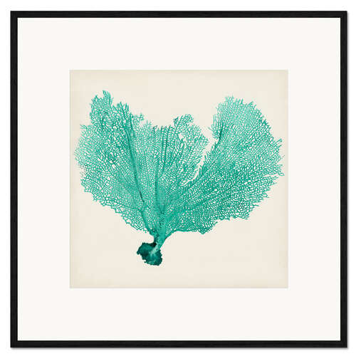 Framed art print Sea Fan petrol