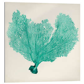 Gallery print Sea Fan petrol