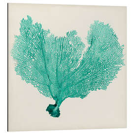 Magnettafel Seefächer petrol