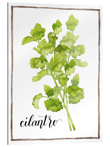 Gallery print Herbal illustration Cilantro