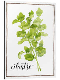 Magnettafel Kräuterillustration Koriander