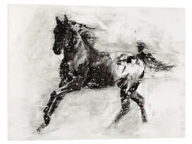 Foam board print Appaloosa horse I