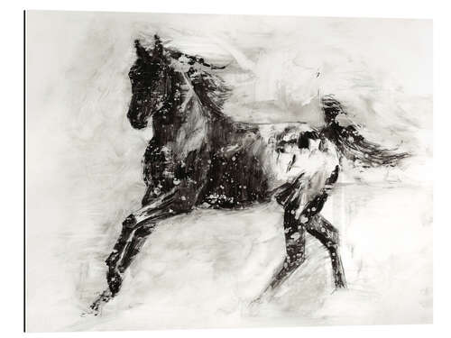 Galleriprint Appaloosa horse I