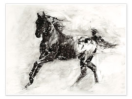 Wall print  Appaloosa horse I - Ethan Harper
