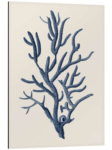 Alumiinitaulu Indigo Coral IV