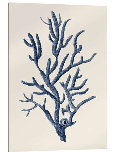 Gallery print Indigo Coral IV