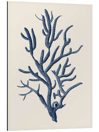 Magnettafel Indigo Koralle IV