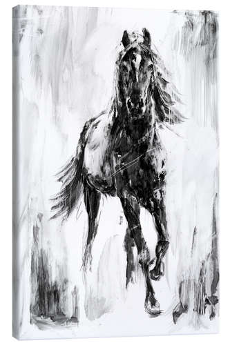 Canvas print Appaloosa Horse II