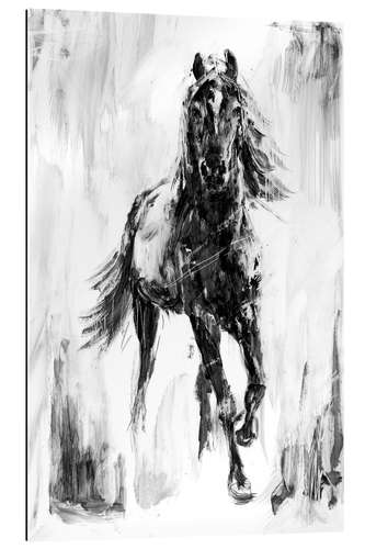 Gallery print Appaloosa Horse II