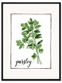 Gerahmter Kunstdruck Kräuterillustration Petersilie