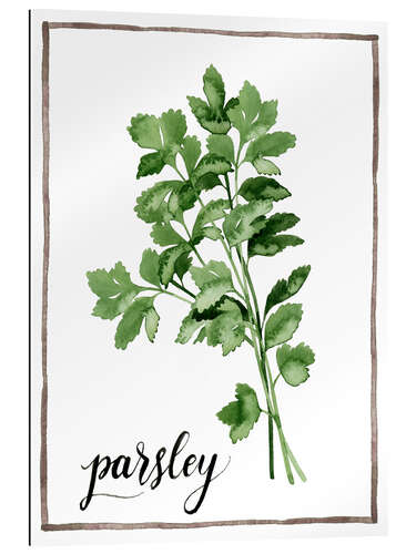 Gallery print Herbal illustration of parsley