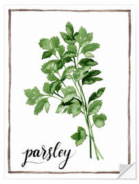 Wall sticker Herbal illustration of parsley