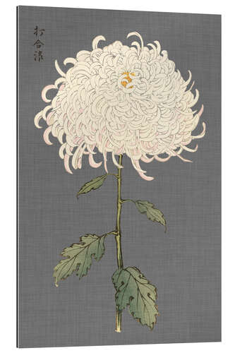 Galleriprint White chrysanthemum I