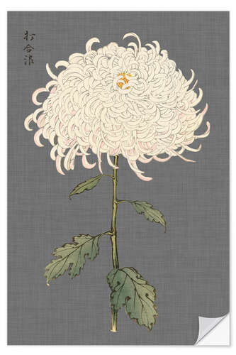 Wall sticker White chrysanthemum I