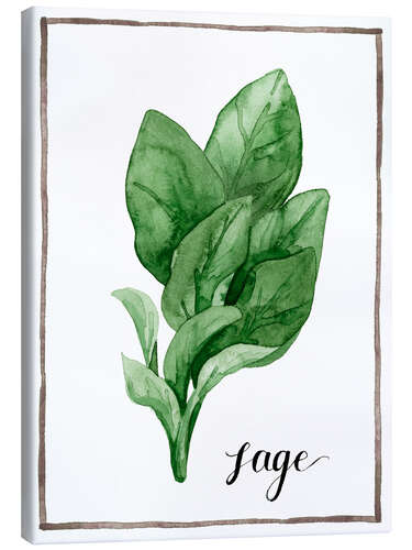 Canvas print Herbal illustration sage