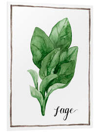 Foam board print Herbal illustration sage