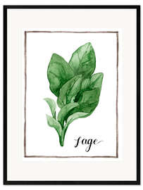 Ingelijste kunstdruk Herbal illustration sage