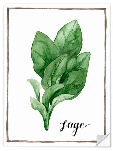 Selvklebende plakat Herbal illustration sage