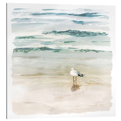 Tableau en plexi-alu Mouette sur la plage II