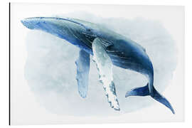 Magnettafel Buckelwal II