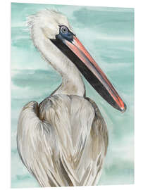 Foam board print Turquoise Pelican I