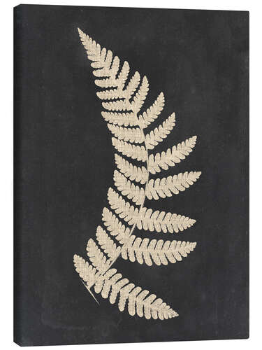 Canvas print Linen fern IV