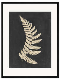 Gerahmter Kunstdruck Leinenfarn IV