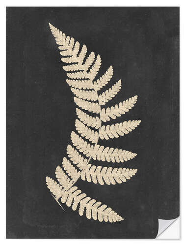 Wall sticker Linen fern IV