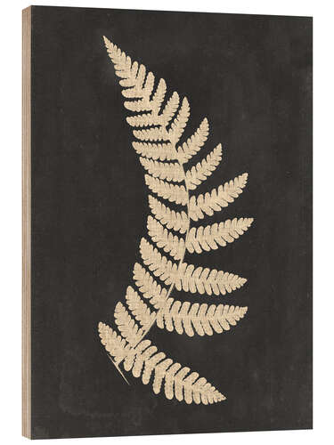 Wood print Linen fern IV