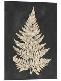 Acrylic print Linen Fern I