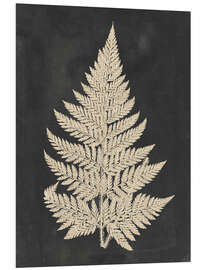 Foam board print Linen Fern I