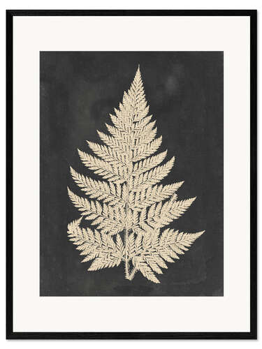 Inramat konsttryck Linen Fern I