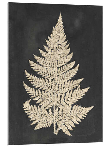 Gallery print Linen Fern I