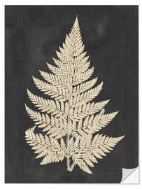 Wall sticker Linen Fern I