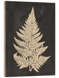 Wood print Linen Fern I