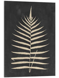 Acrylic print Linen Fern III