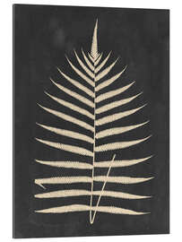 Gallery print Linen Fern III