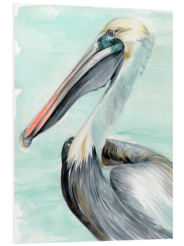 Foam board print Turquoise Pelican II