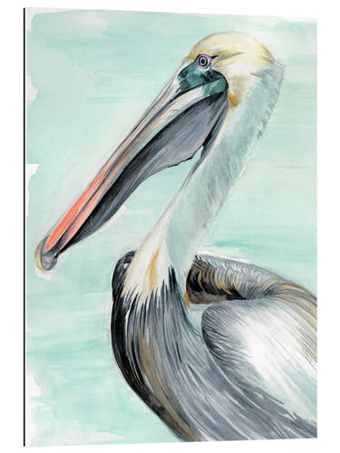 Gallery print Turquoise Pelican II