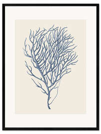 Framed art print Indigo Coral VI