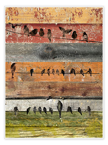 Poster Birds on Wood I