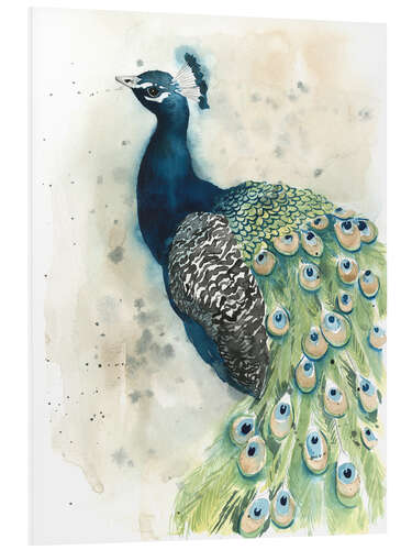 Foam board print Peacock Portrait