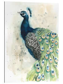 Gallery print Peacock Portrait