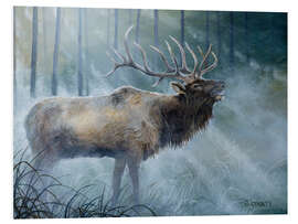 Tableau en PVC Brâme du cerf III