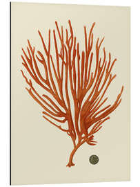 Magnettafel Rote Koralle II