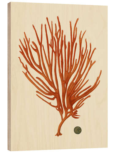 Tableau en bois Corail rouge II