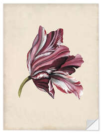 Wall sticker Tulip Study III