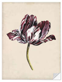 Wall sticker Tulip study I