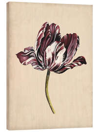 Wood print Tulip study I