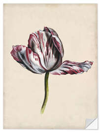 Selvklebende plakat Tulip study II